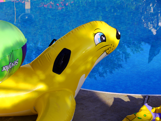 Poolside