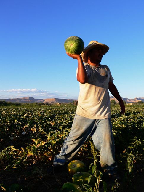 Faceless Farm Worker