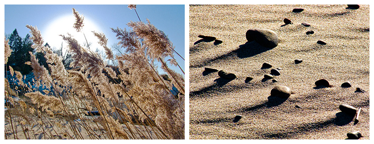 Beach Light