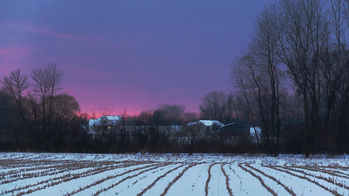 Winter Walk