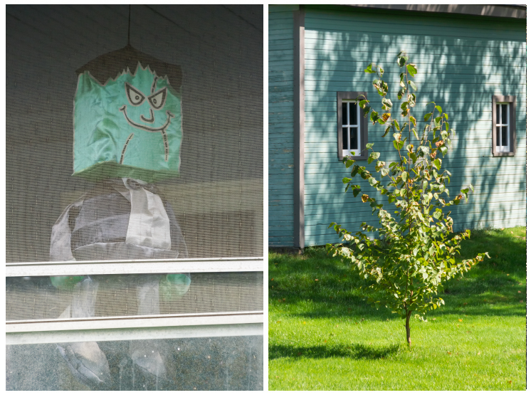 The Burdens of Green