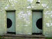 Wall Eyed