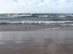 Crisp Breeze