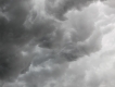 Summer Storm