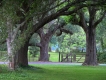Lazy Arbor