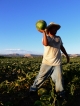 Faceless Farm Worker
