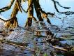 The Float on the River Styx