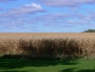 Harvest of Default