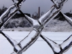 Frozen Out