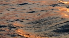 Fluctuation