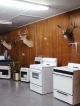Three Deer with No Rear