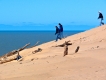 Dune Walk