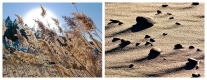 Beach Light