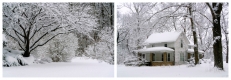 Snow Dream