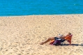 Birds Resting in the Sand