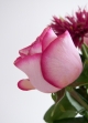 Transition: From Unsettling to Calm and Confident