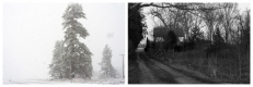 Lament for Winter