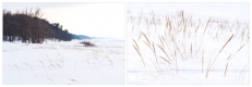 Snow and Cold at Water's Edge